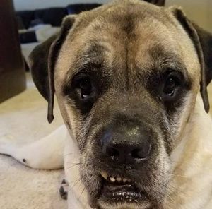 Meet your Posher, Heidi